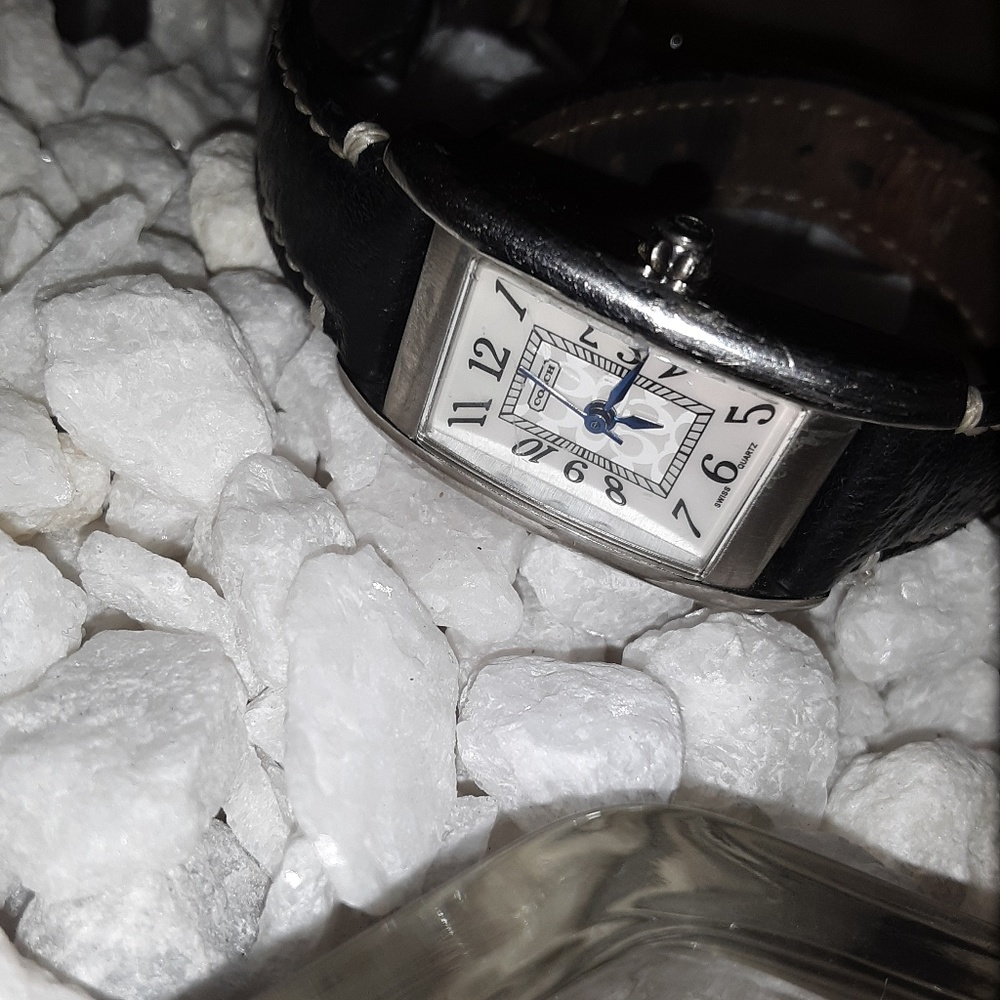 Coach watch